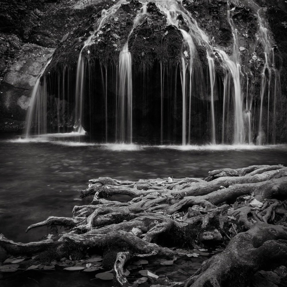 Photograph by Елена Курзина