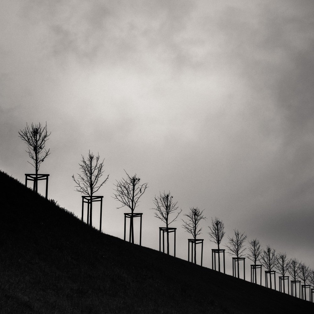 Photograph by Елена Курзина