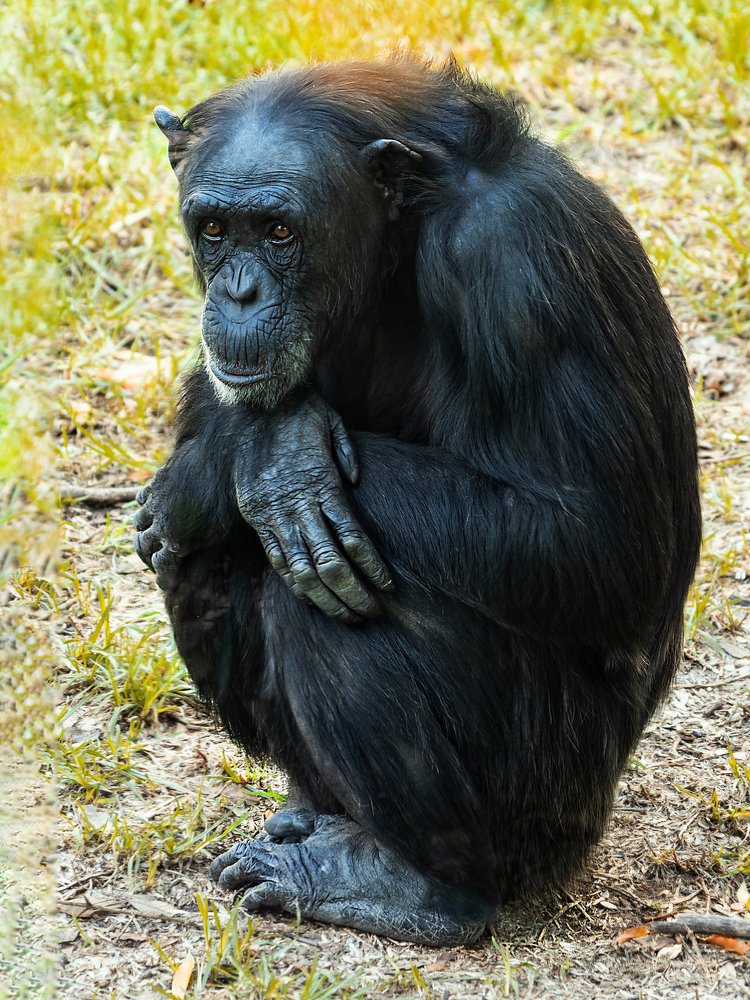 Photograph by David Lerer