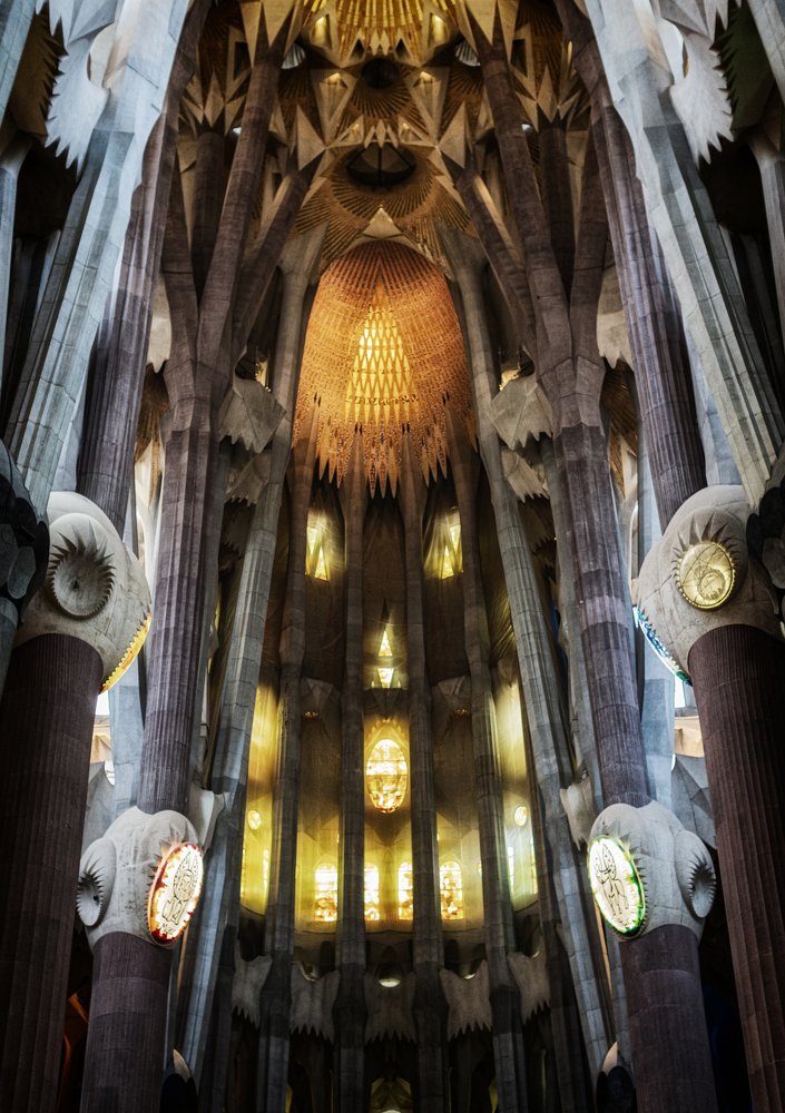 Photograph by Julia Stuckert