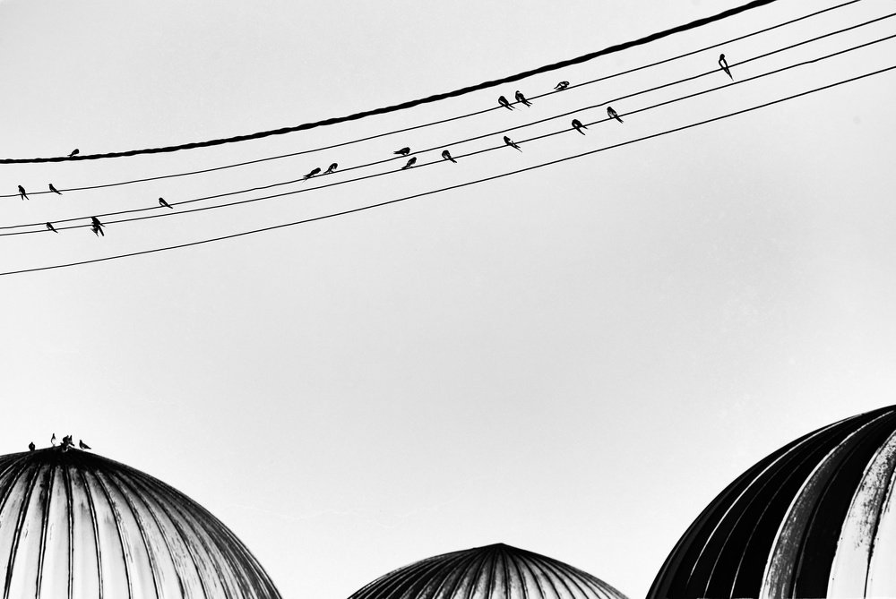 Утренние посиделки.