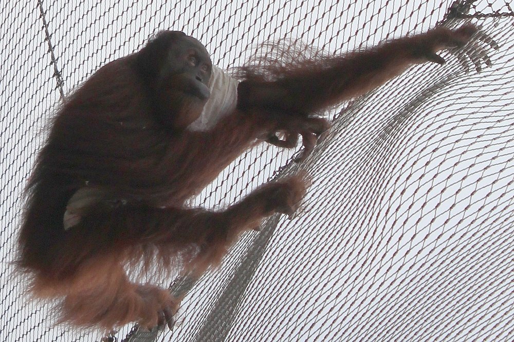 Photograph by Виталий