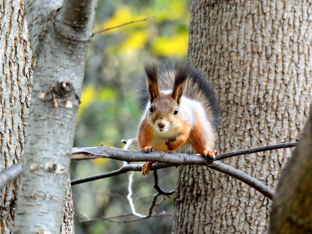 Photograph by Василий