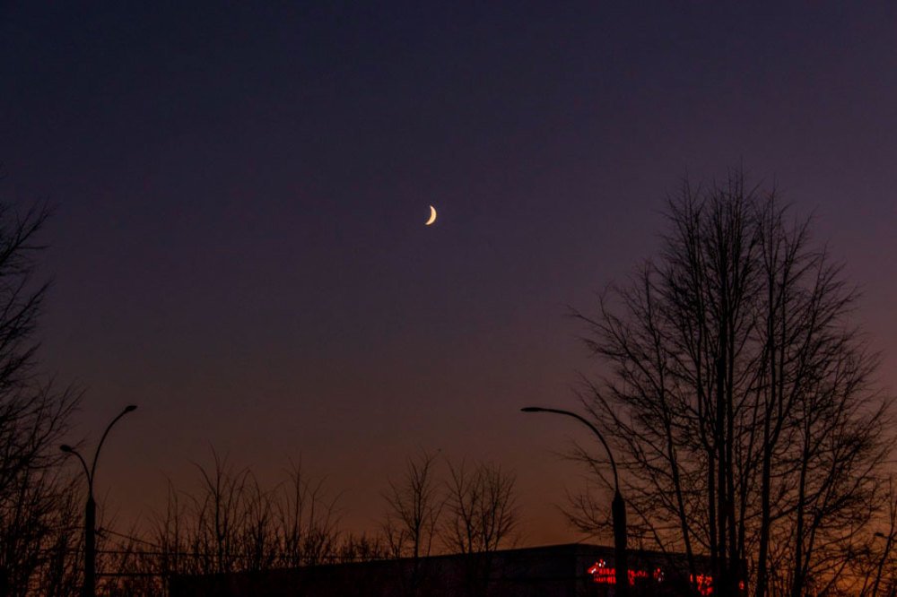 Photograph by Светлана Баринова