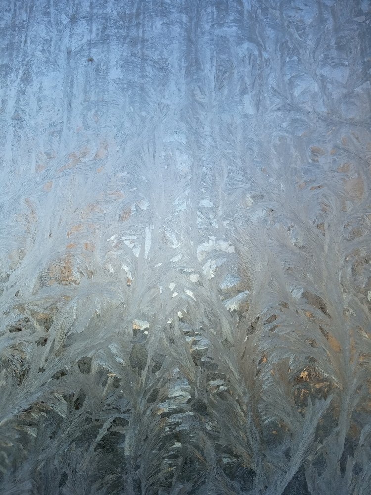 Photograph by Любовь Шаврина