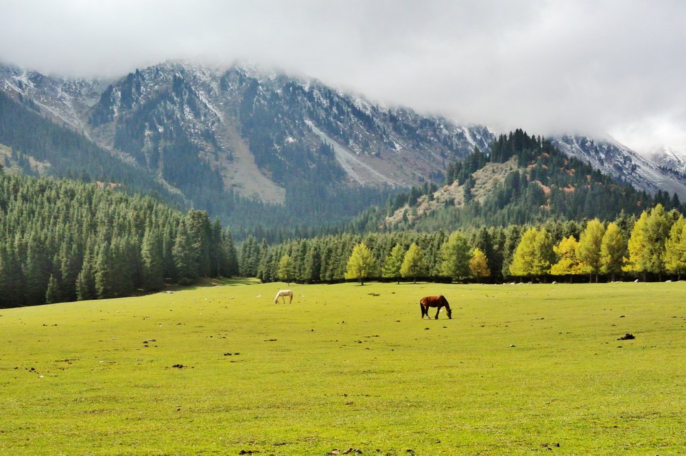 Photograph by Василий