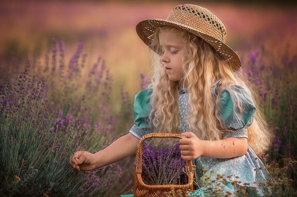 Малышка в лаванде на закате