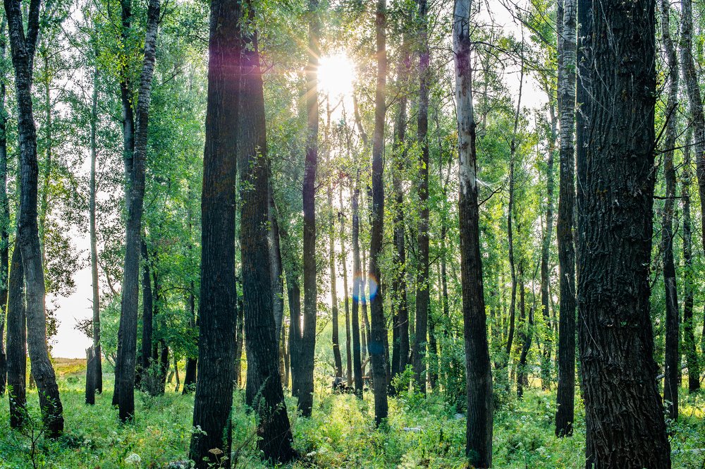 Photograph by Роман Васильев