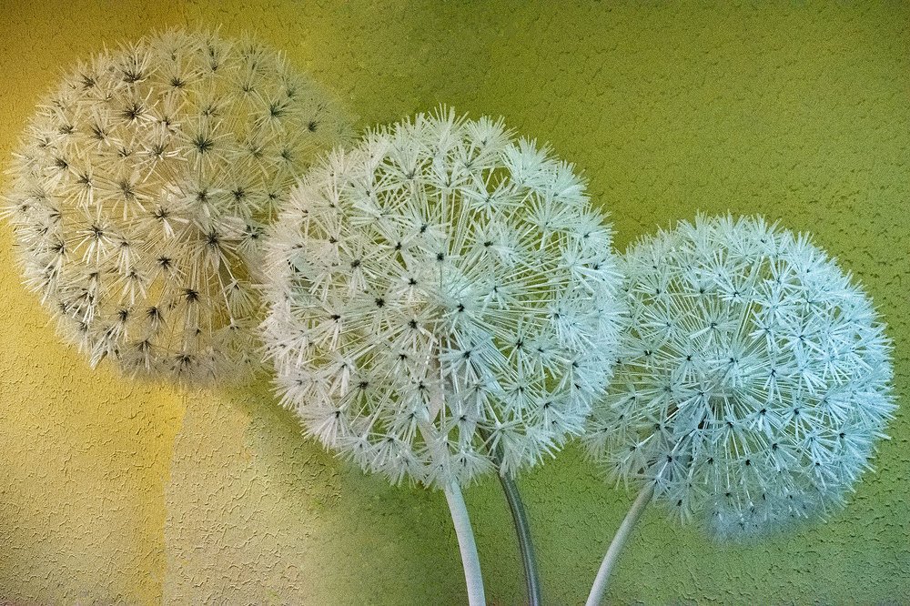 Photograph by Julija JKv