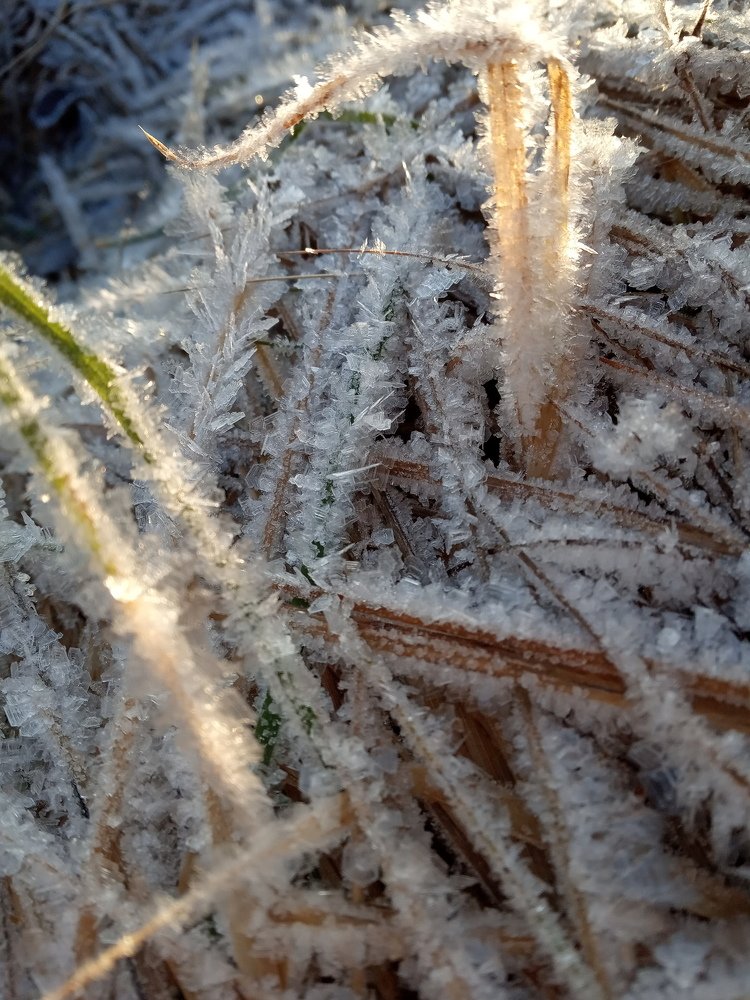 Photograph by Любовь Шаврина