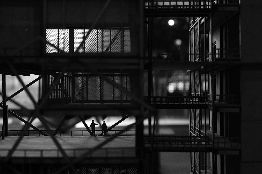 Constructed Reality 5