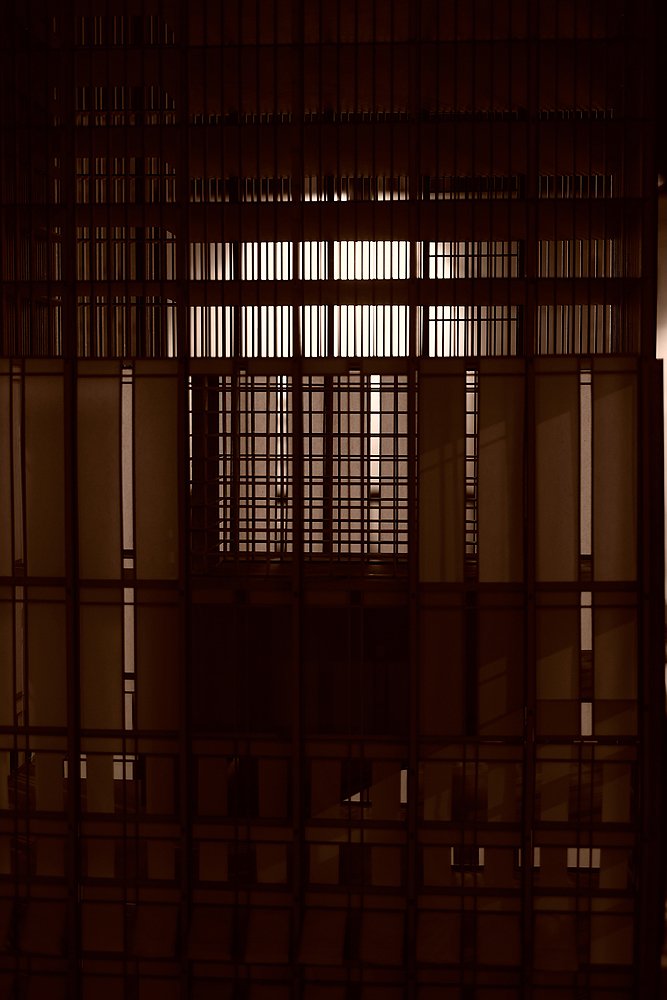 Constructed Reality 3