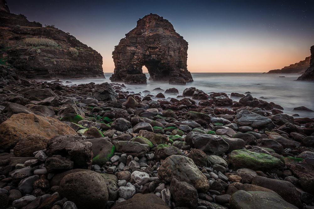 Морской Слон