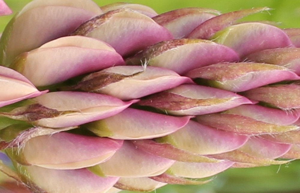 Фотография автора Владислава Андрюнина