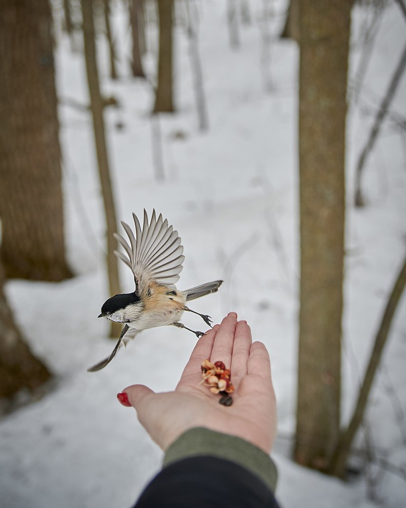 Photograph by Natalia Ghimp