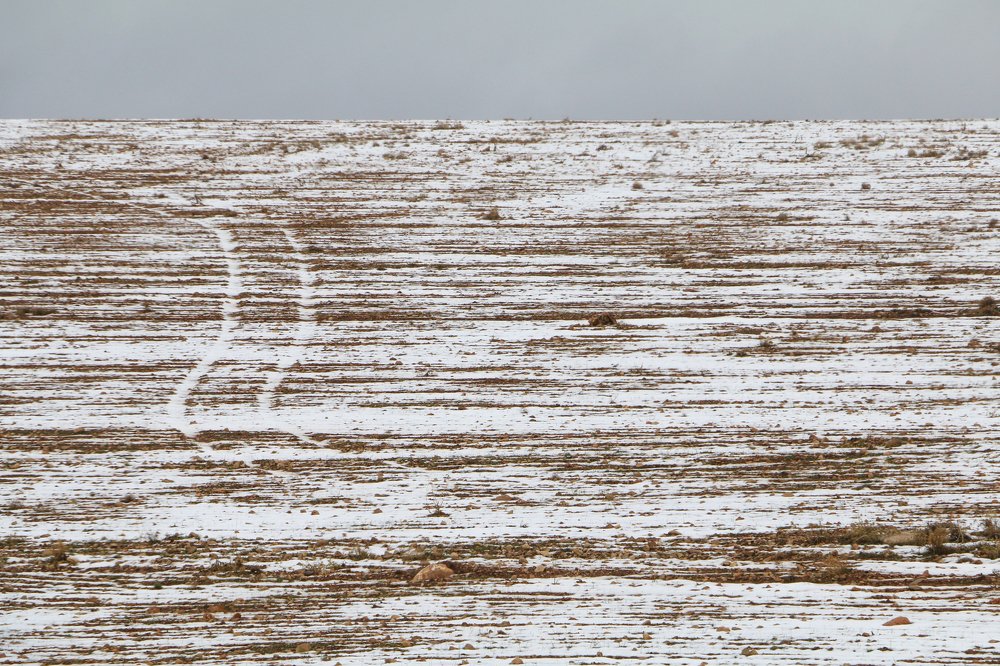 Photograph by  Afrooz