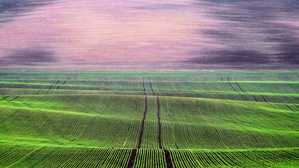 Photograph by Пётр Дедковский