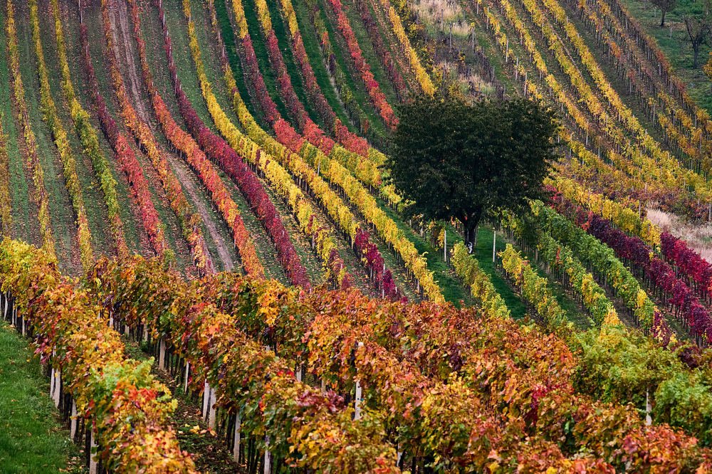 Photograph by Пётр Дедковский