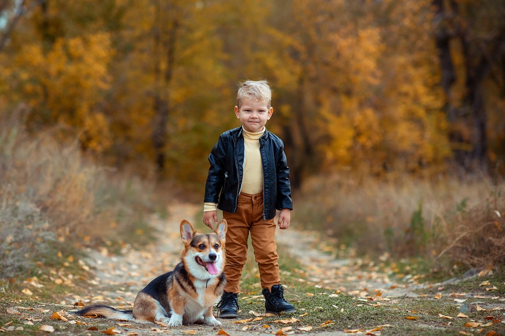 Разбойники с большой дороги