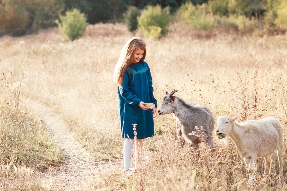 Photograph by ОКСАНА МОЙСЫШИНА