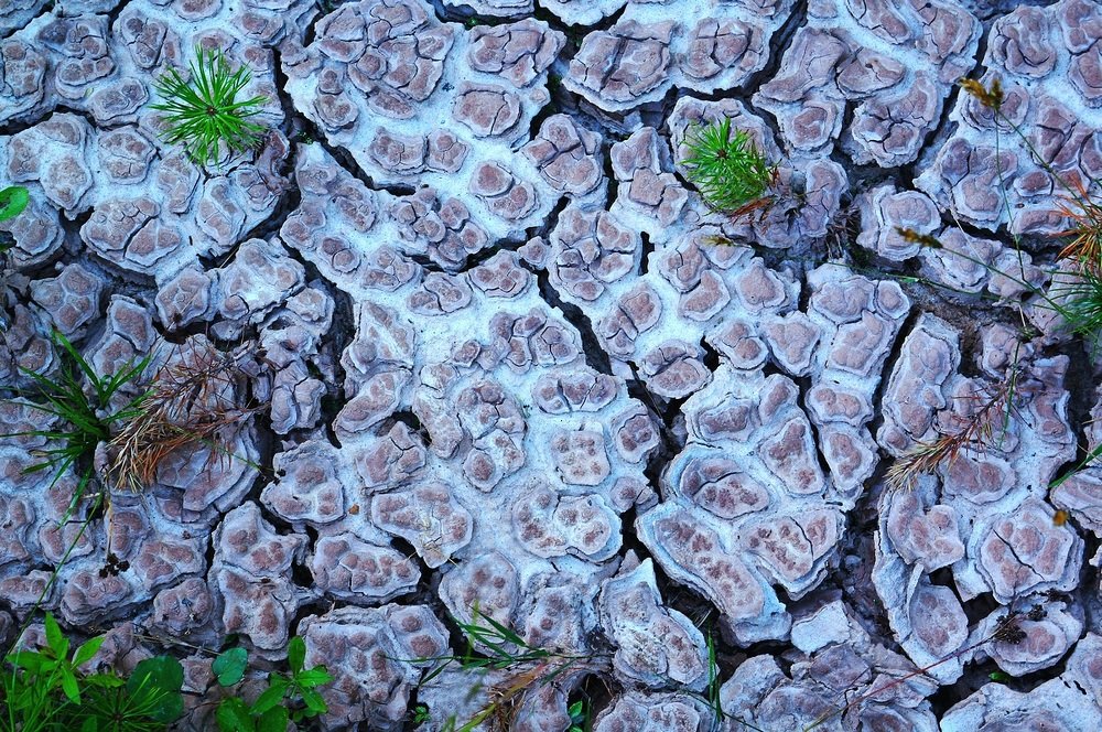 Фотография автора Valery Bel@kov