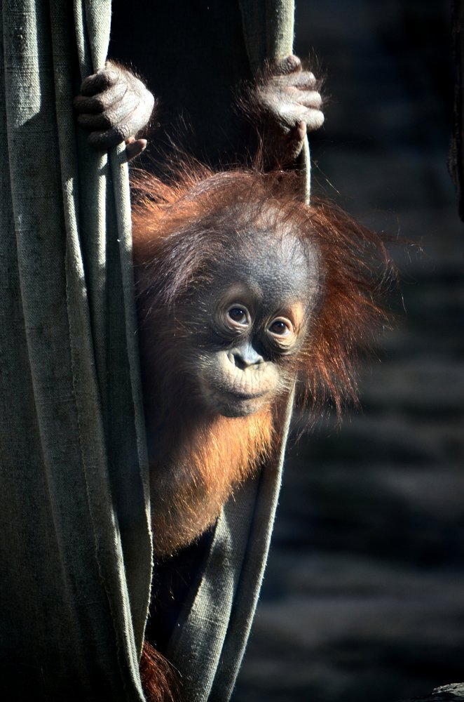 Photograph by Анастасия Махова