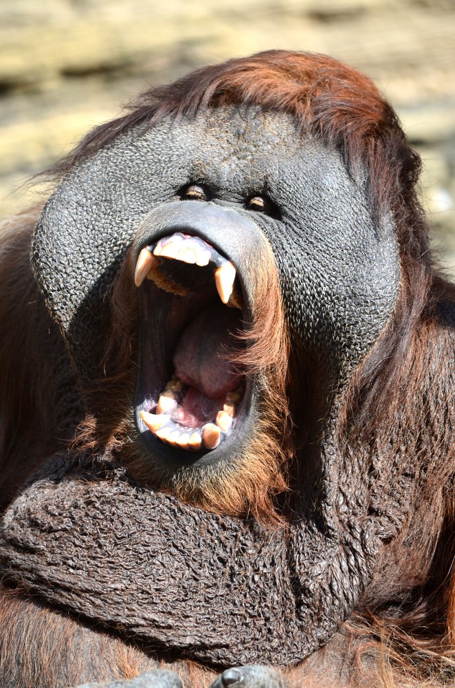 Photograph by Анастасия Махова