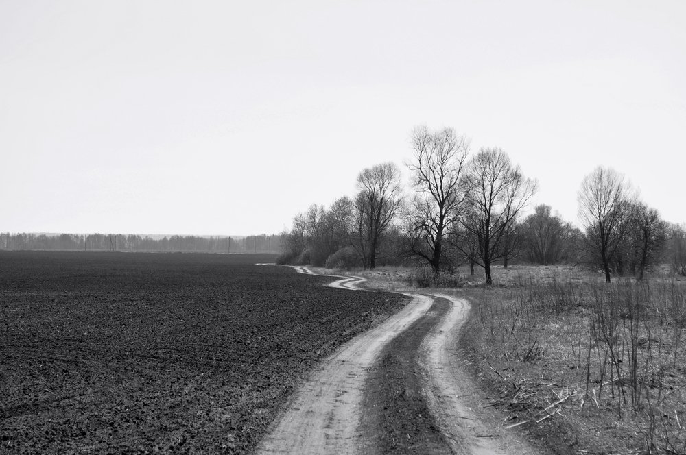 Photograph by Александр Рыбак