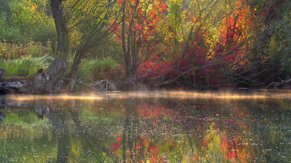 Photograph by Александр Рыбак