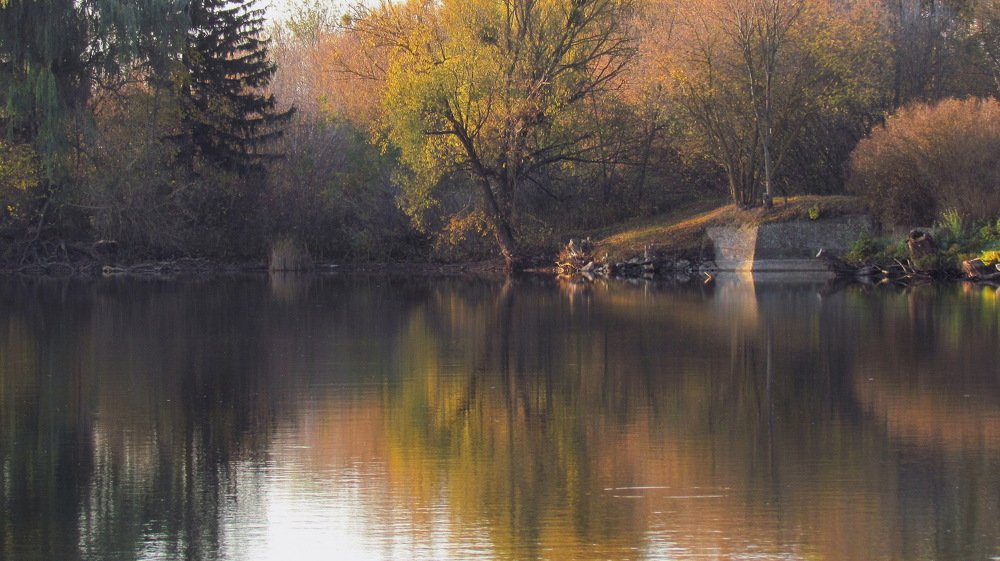 Photograph by Александр Рыбак