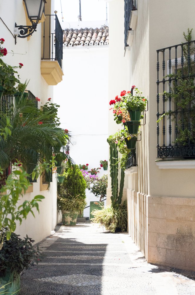 Photograph by Nina Tvalchrelidze