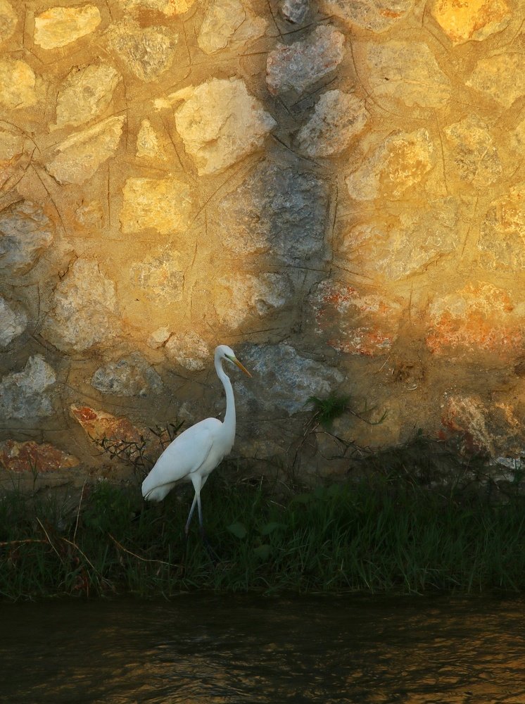 Photograph by GÜLHAN BAŞ