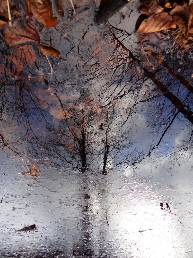 Photograph by Александр Рыбак