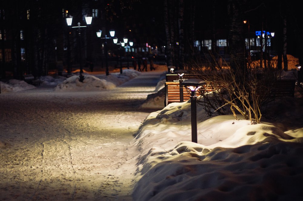 Photograph by Елена Горохова