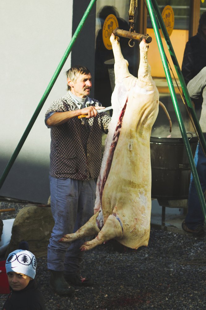 Фотография автора Josef Nový