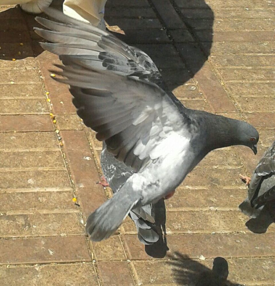 Photograph by Moussiqui Soukaina