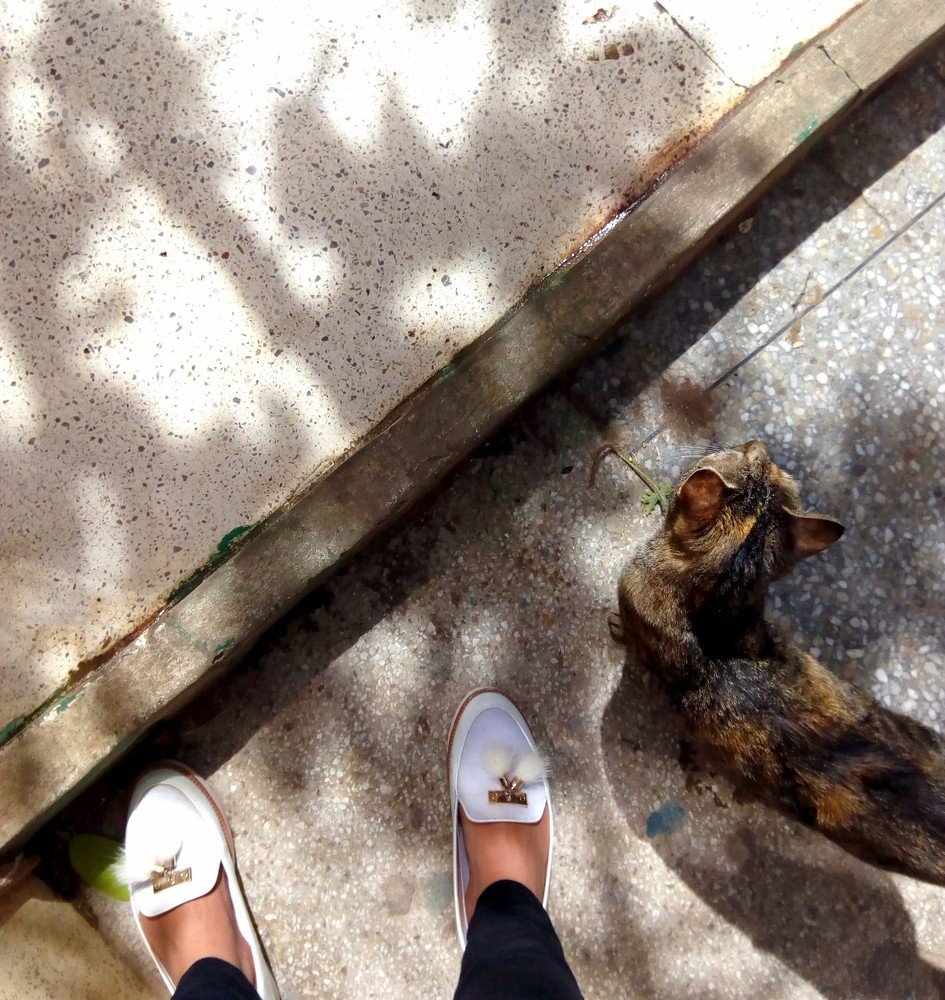 Photograph by Moussiqui Soukaina