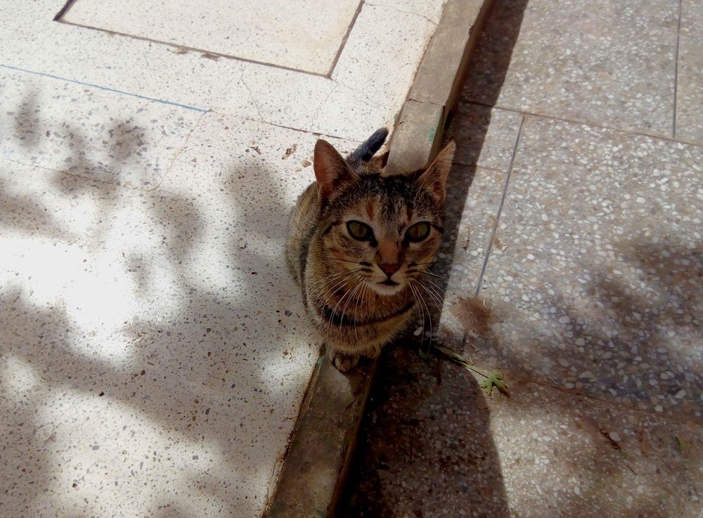 Photograph by Moussiqui Soukaina