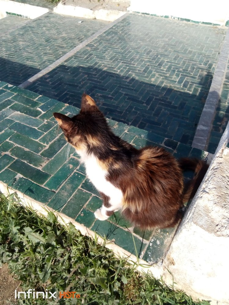 Photograph by Moussiqui Soukaina