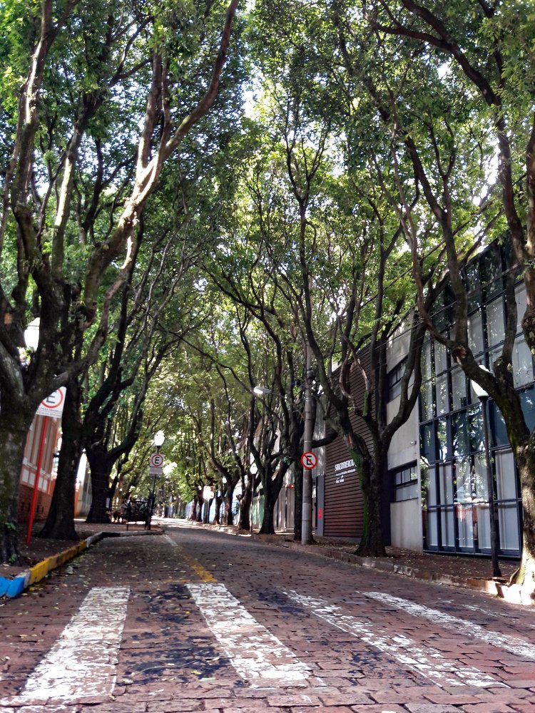 Photograph by Régis Santos