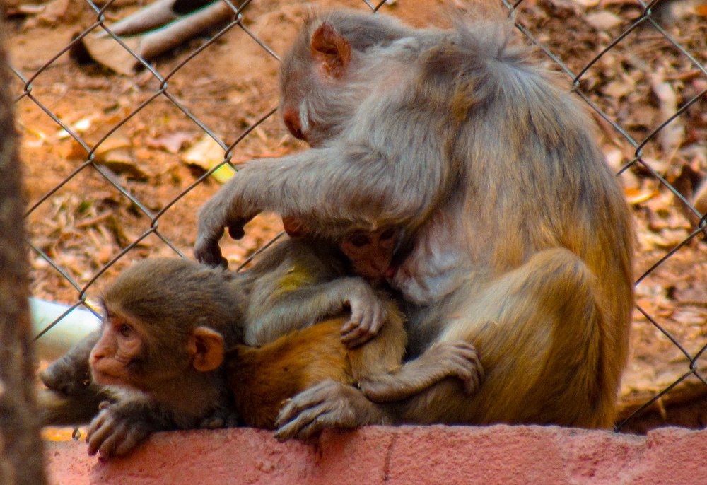 Photograph by SUSMITA SARDAR