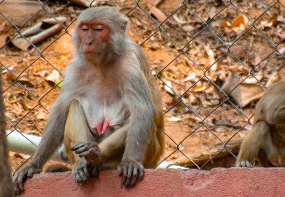 Photograph by SUSMITA SARDAR