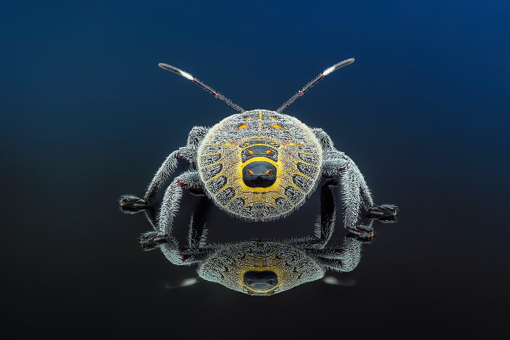 Photograph by Ngọc Trần