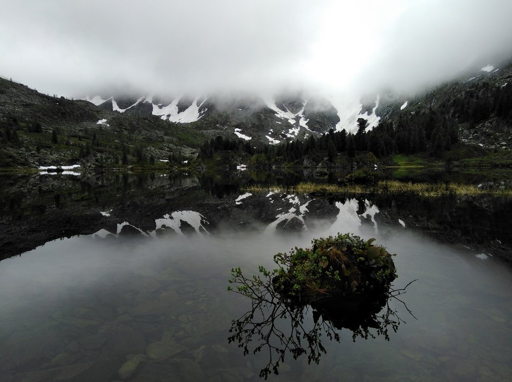 Photo #4036972
