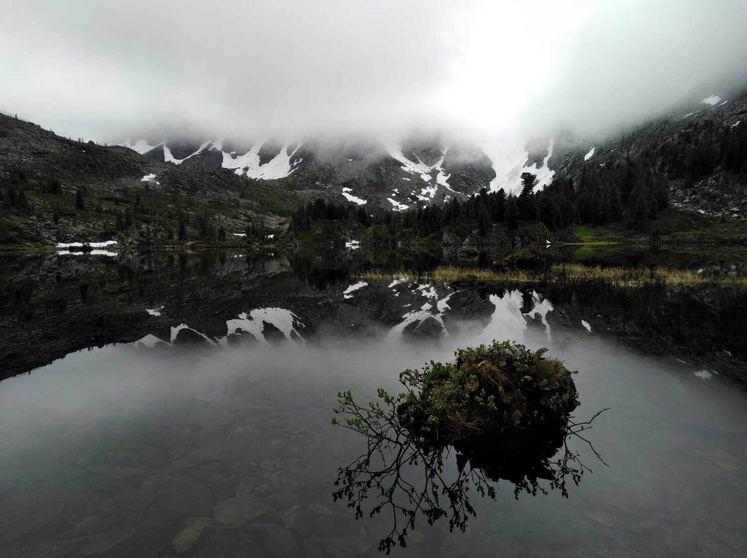 Photo #4036972