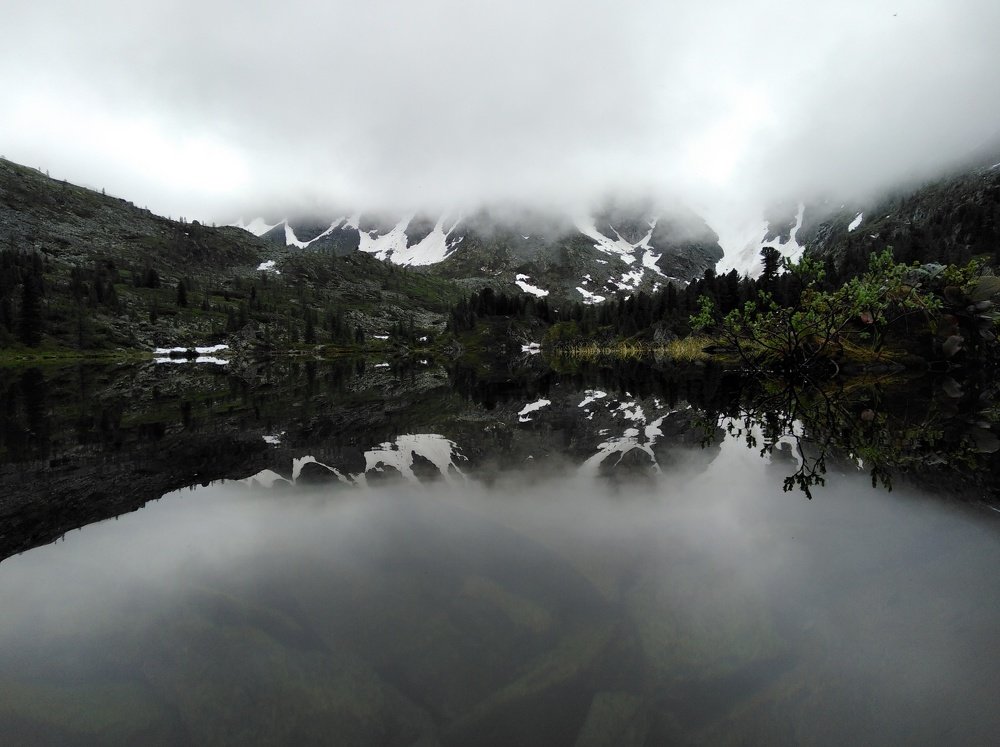 Photo #4036974