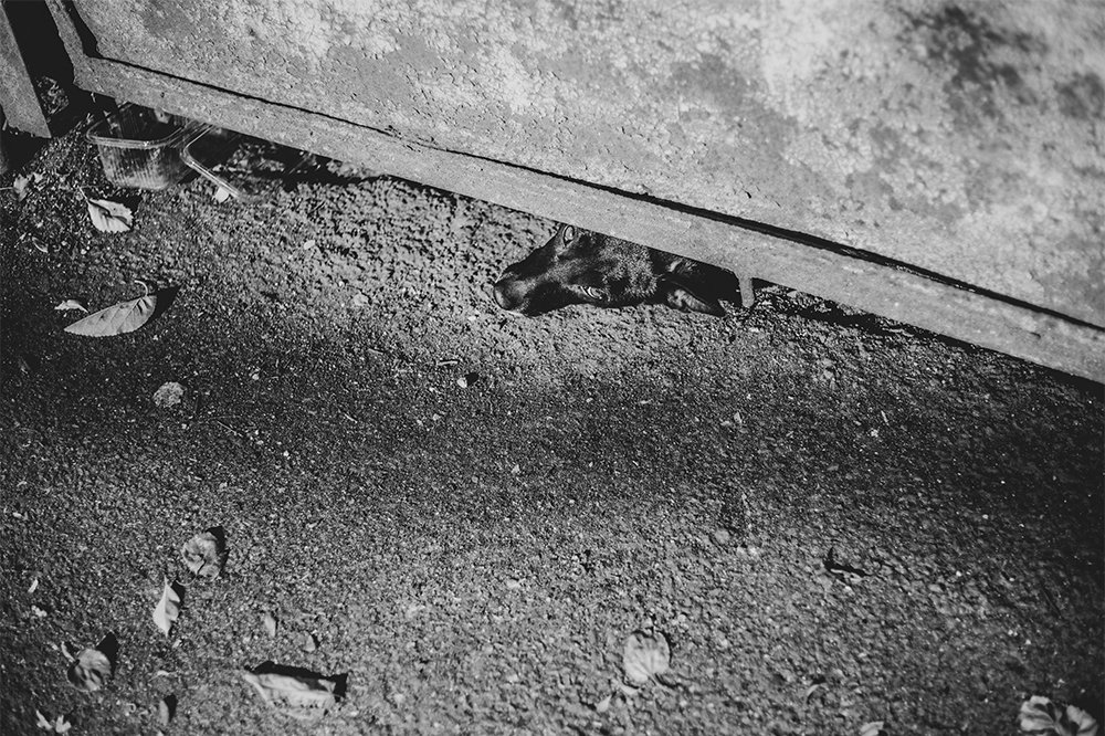 Photograph by Mirela B.