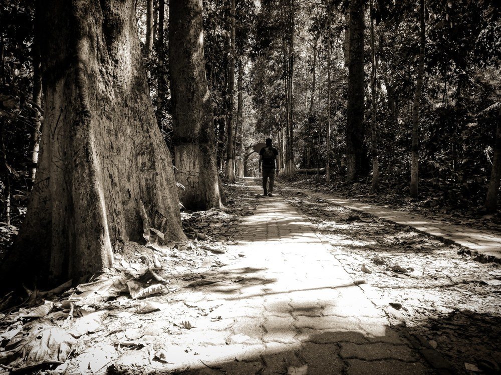 Photograph by Md Tohidur Rahman Muktadir