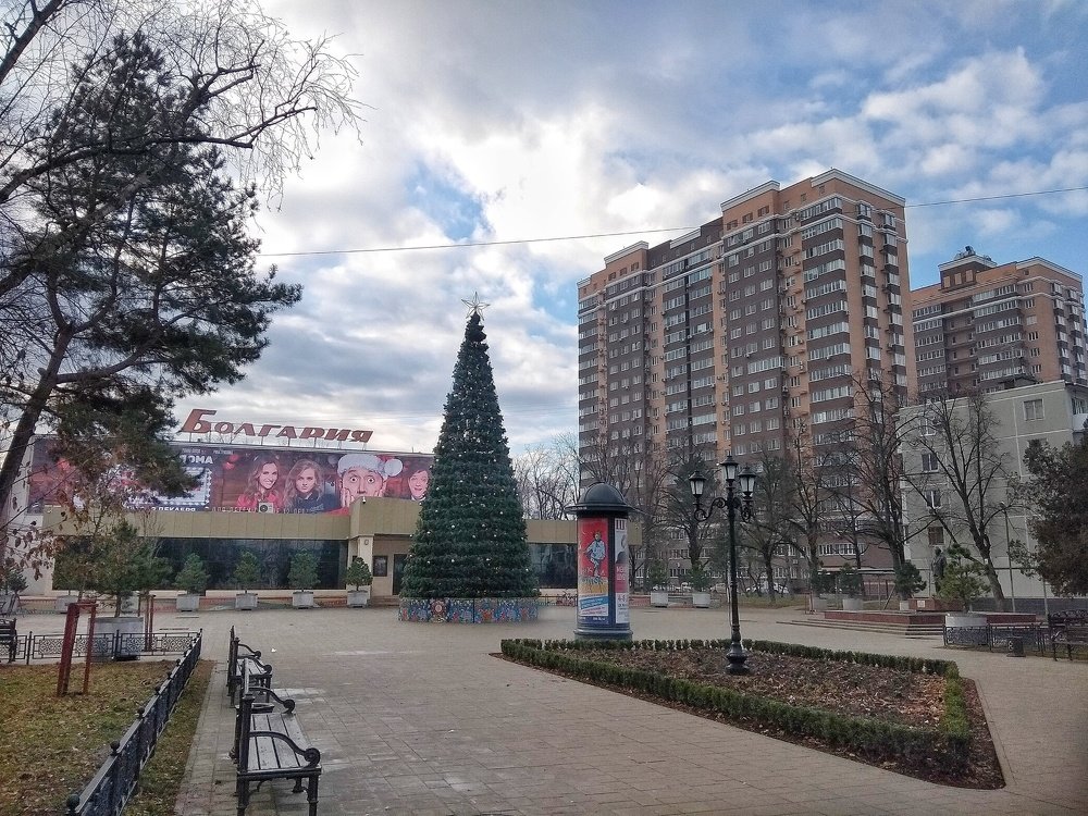 Елка нашего района