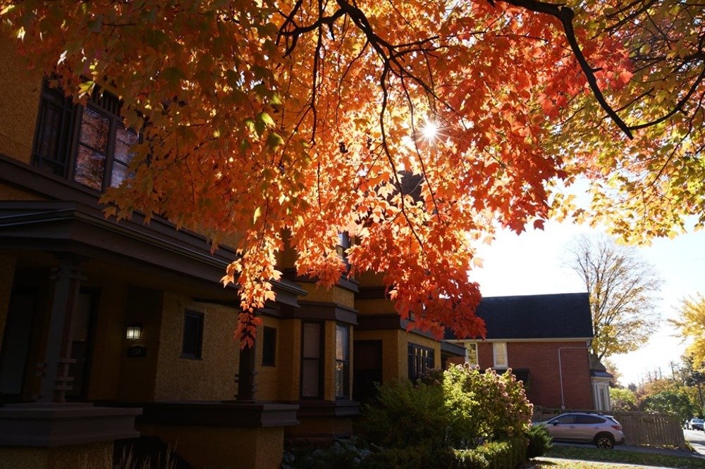 Photograph by Thiên Phạm Vũ